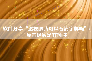 软件分享“透视眼睛可以看清字牌吗”(原来确实是有插件