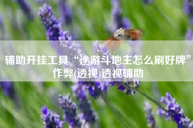 辅助开挂工具“途游斗地主怎么刷好牌”作弊(透视)透视辅助