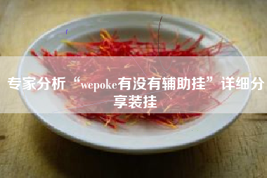 专家分析“wepoke有没有辅助挂”详细分享装挂