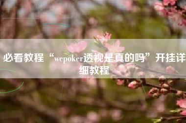必看教程“wepoker透视是真的吗”开挂详细教程