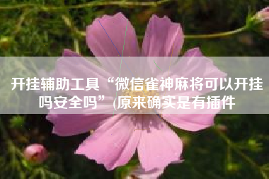 开挂辅助工具“微信雀神麻将可以开挂吗安全吗”(原来确实是有插件