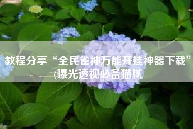 教程分享“全民雀神万能开挂神器下载”(曝光透视必备猫腻