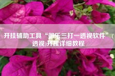 开挂辅助工具“微乐三打一透视软件”(透视)开挂详细教程