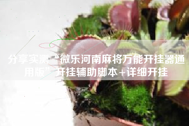 分享实测“微乐河南麻将万能开挂器通用版”开挂辅助脚本+详细开挂