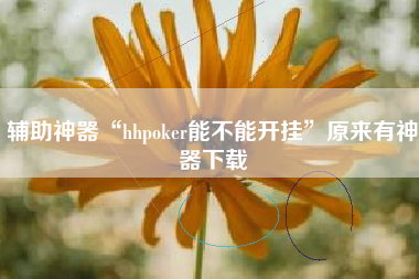 辅助神器“hhpoker能不能开挂”原来有神器下载