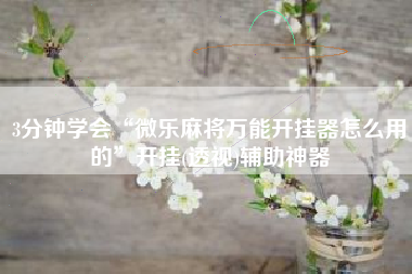 3分钟学会“微乐麻将万能开挂器怎么用的”开挂(透视)辅助神器