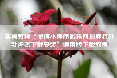 实操教程“微信小程序微乐四川麻将外卦神器下载安装”通用版下载教程