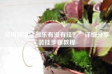 可用版本“微乐有没有挂？”详细分享装挂步骤教程