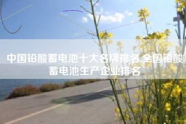 中国铅酸蓄电池十大名牌排名,全国铅酸蓄电池生产企业排名