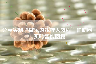 分享实测“微乐游戏挂人教程”辅助器 - 实时智能回复