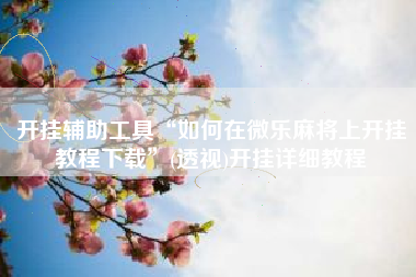 开挂辅助工具“如何在微乐麻将上开挂教程下载”(透视)开挂详细教程