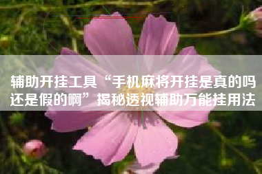 辅助开挂工具“手机麻将开挂是真的吗还是假的啊”揭秘透视辅助万能挂用法