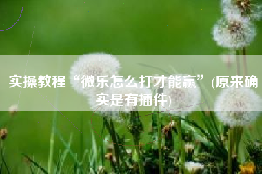 实操教程“微乐怎么打才能赢”(原来确实是有插件)