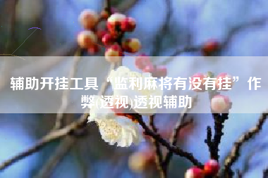 辅助开挂工具“监利麻将有没有挂”作弊(透视)透视辅助