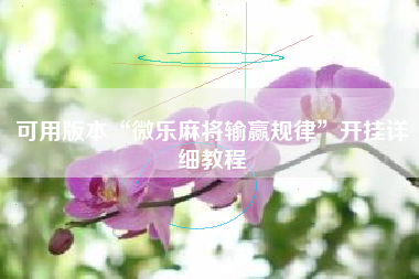 可用版本“微乐麻将输赢规律”开挂详细教程