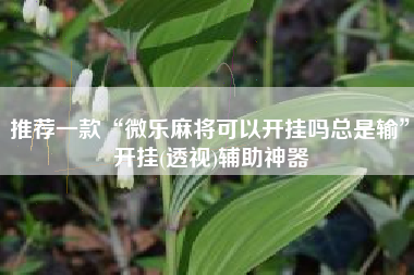 推荐一款“微乐麻将可以开挂吗总是输”开挂(透视)辅助神器