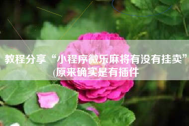 教程分享“小程序微乐麻将有没有挂卖”(原来确实是有插件