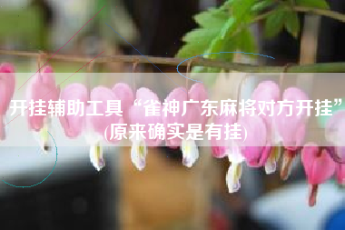 开挂辅助工具“雀神广东麻将对方开挂”(原来确实是有挂)