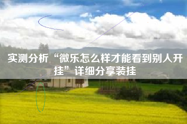 实测分析“微乐怎么样才能看到别人开挂”详细分享装挂