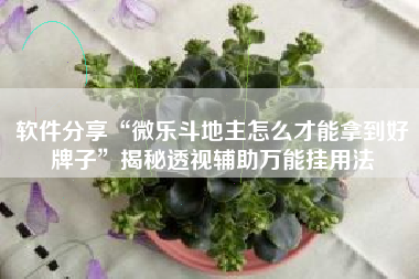 软件分享“微乐斗地主怎么才能拿到好牌子”揭秘透视辅助万能挂用法