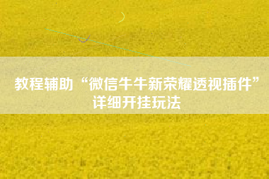教程辅助“微信牛牛新荣耀透视插件”详细开挂玩法
