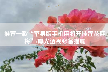 推荐一款“苹果版手机麻将开挂莲花麻将”(曝光透视必备猫腻