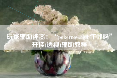 玩家辅助神器：“pokernow.club作弊码”开挂(透视)辅助教程