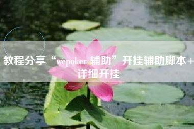教程分享“wepoker 辅助”开挂辅助脚本+详细开挂