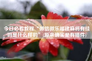 今日必看教程“微信微乐福建麻将有挂吗是什么样的”(原来确实是有插件)