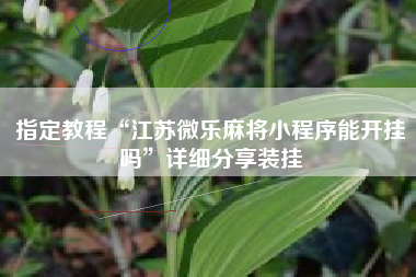 指定教程“江苏微乐麻将小程序能开挂吗”详细分享装挂