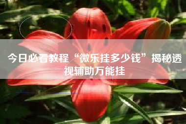 今日必看教程“微乐挂多少钱”揭秘透视辅助万能挂