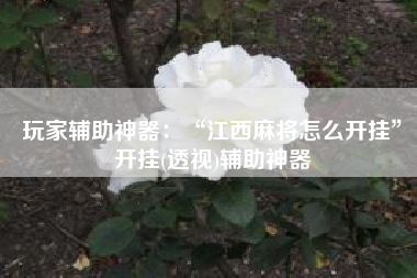 玩家辅助神器：“江西麻将怎么开挂”开挂(透视)辅助神器
