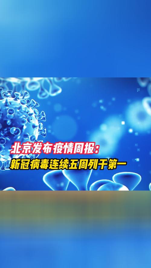 今日0一15点北京疫情(今日份北京疫情)
