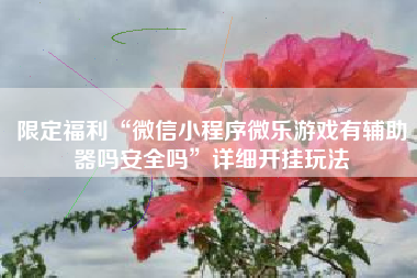 限定福利“微信小程序微乐游戏有辅助器吗安全吗”详细开挂玩法
