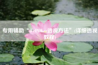 专用辅助“WePOKer透视方法”(详细透视教程)