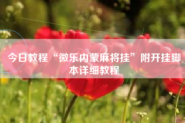 今日教程“微乐内蒙麻将挂”附开挂脚本详细教程