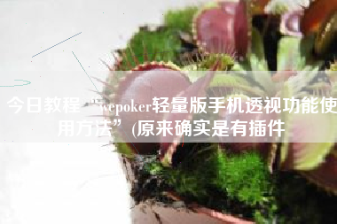 今日教程“wepoker轻量版手机透视功能使用方法”(原来确实是有插件