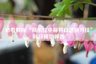 必看教程“微乐红中麻将自建房开挂”科技辅助神器