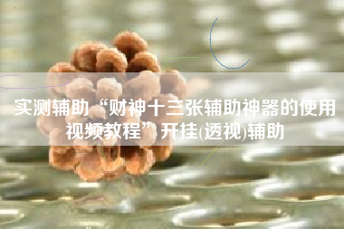 实测辅助“财神十三张辅助神器的使用视频教程”开挂(透视)辅助