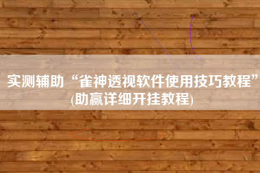 实测辅助“雀神透视软件使用技巧教程”(助赢详细开挂教程)