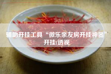 辅助开挂工具“微乐亲友房开挂神器”开挂(透视