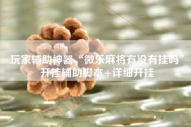 玩家辅助神器“微乐麻将有没有挂吗”开挂辅助脚本+详细开挂