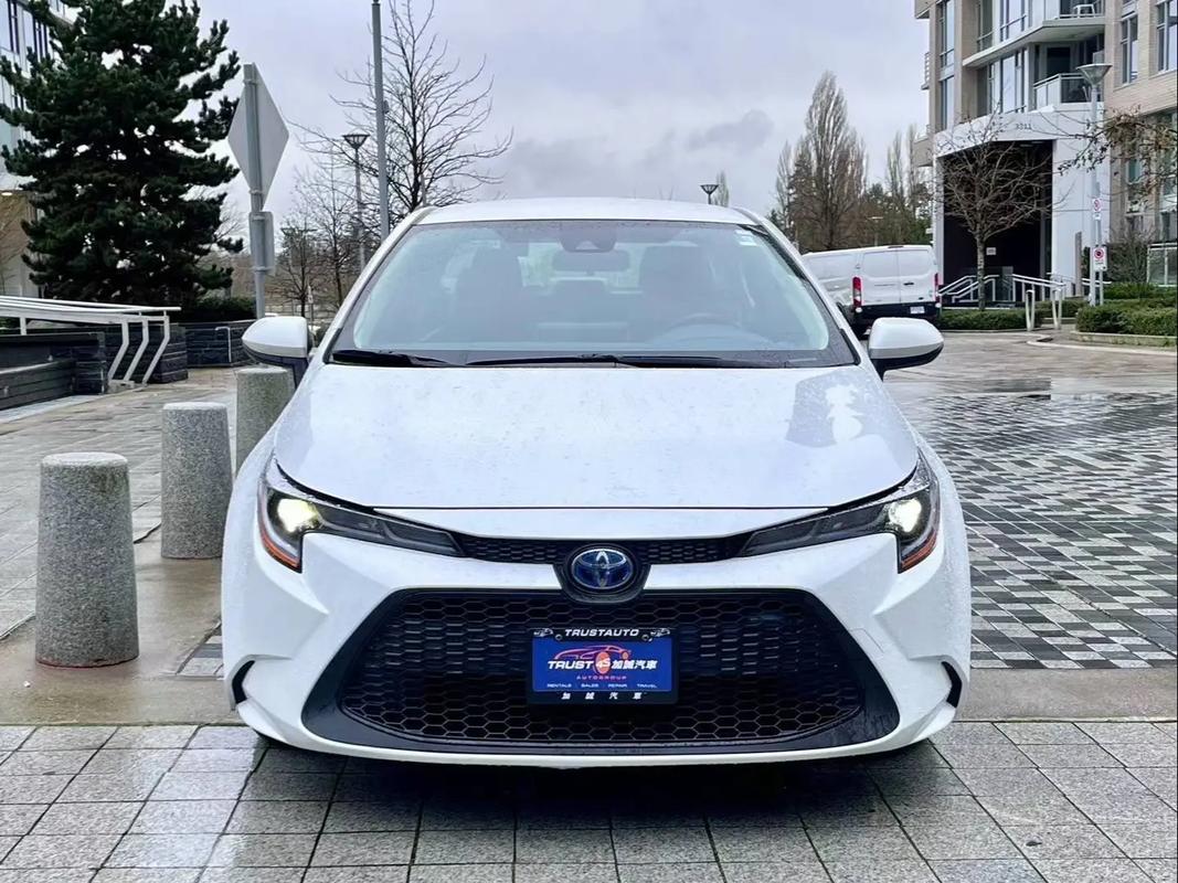 2023丰田卡罗拉最新款/2022款丰田卡罗拉改款图片