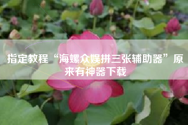 指定教程“海螺众娱拼三张辅助器”原来有神器下载