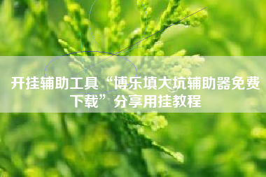 开挂辅助工具“博乐填大坑辅助器免费下载”分享用挂教程