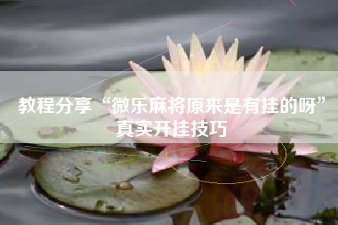 教程分享“微乐麻将原来是有挂的呀”真实开挂技巧