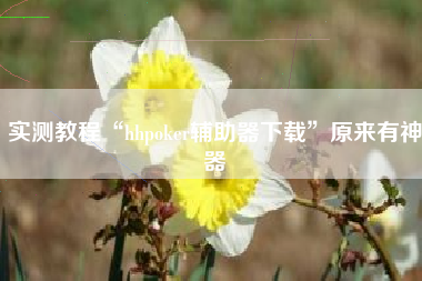 实测教程“hhpoker辅助器下载”原来有神器