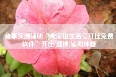 分享实测辅助“大凉山生活号开挂免费软件”开挂(透视)辅助神器