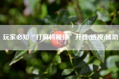 玩家必知“打麻将规律”开挂(透视)辅助