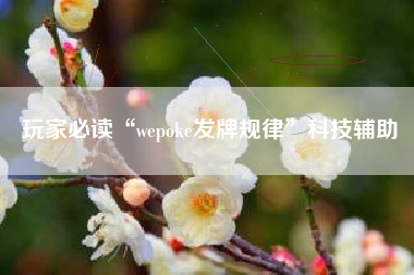 玩家必读“wepoke发牌规律”科技辅助